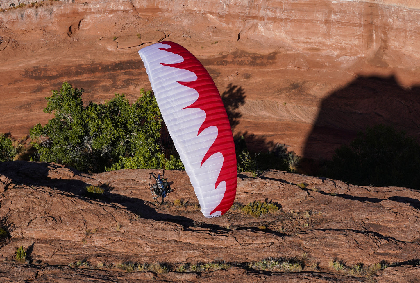 Dominator Paraglider (EN-A/AFNOR Standard)