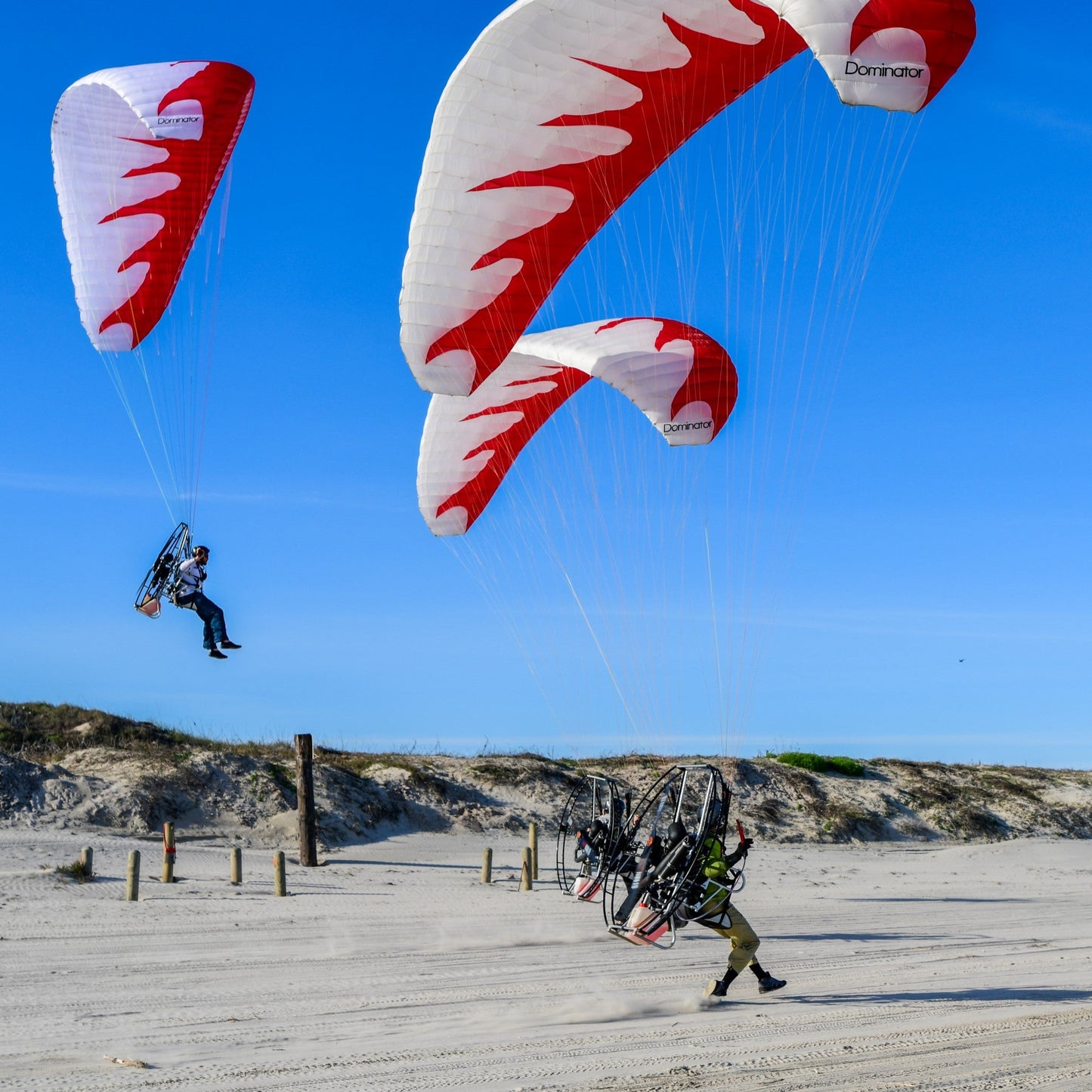 Dominator Paraglider (EN-A/AFNOR Standard)