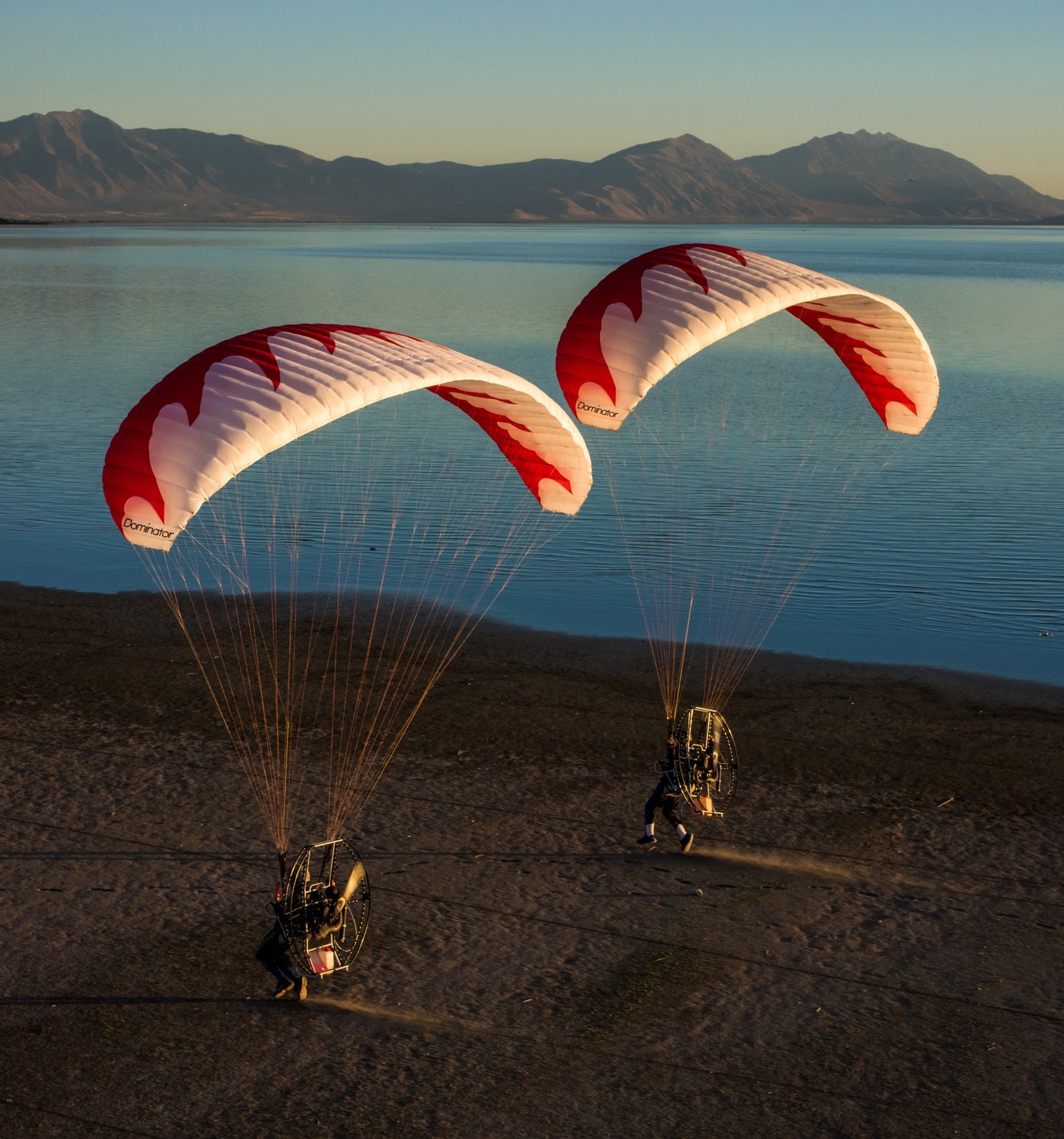 Dominator Paraglider (EN-A/AFNOR Standard)