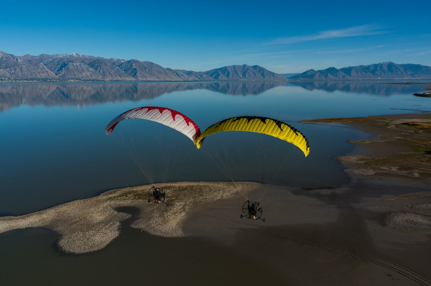 Dominator Paraglider (EN-A/AFNOR Standard)