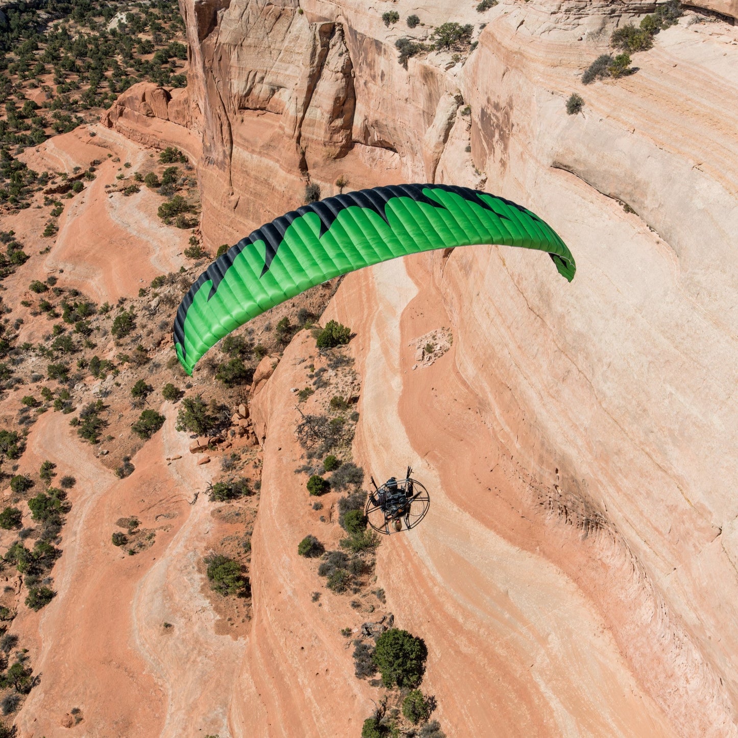 Dominator Paraglider (EN-A/AFNOR Standard)