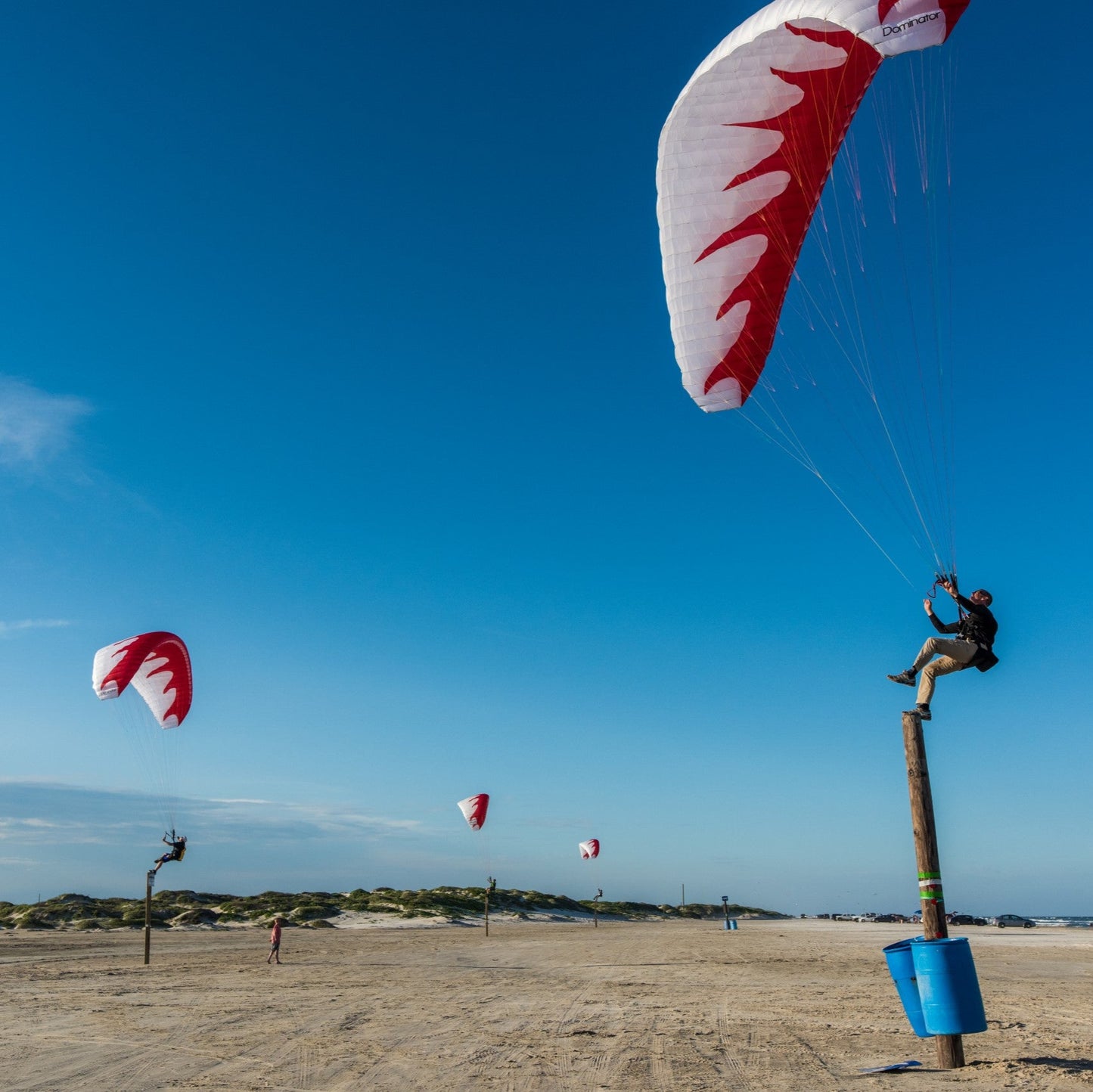 Dominator Paraglider (EN-A/AFNOR Standard)