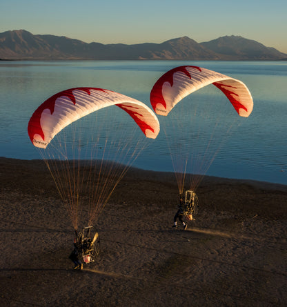 Dominator Paraglider (EN-A/AFNOR Standard)