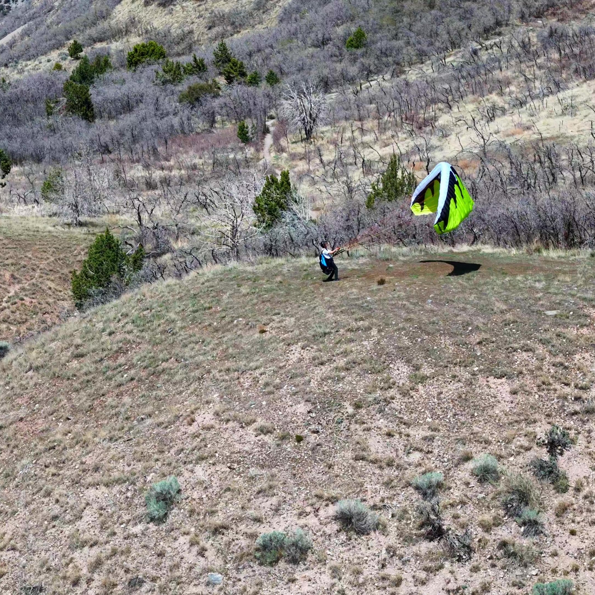 Dominator 2 - Progression Paragliding/PPG Wing (A)