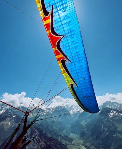 U-Turn Vision (EN-B Intermediate XC Glider)